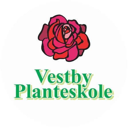 Sponsor logo #5